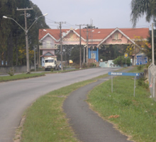 desentupidora araucaria Guajuvira