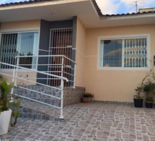 desentupidora araucaria Thomas Coelho