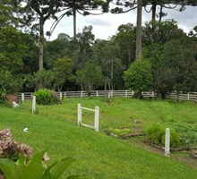 desentupidora sao jose dos pinhais Colônia Acioli