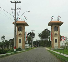 desentupidora sao jose dos pinhais Mergulhão